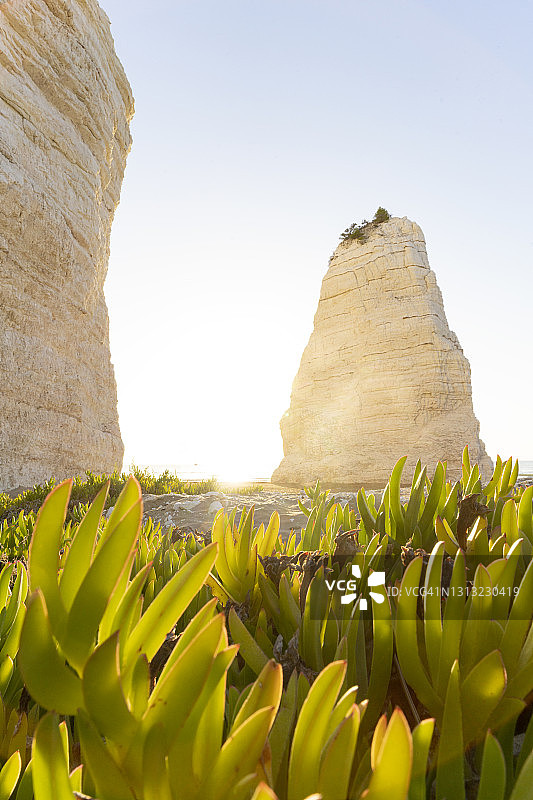 普利亚维耶斯特沙滩上的皮佐蒙诺塔岩石图片素材
