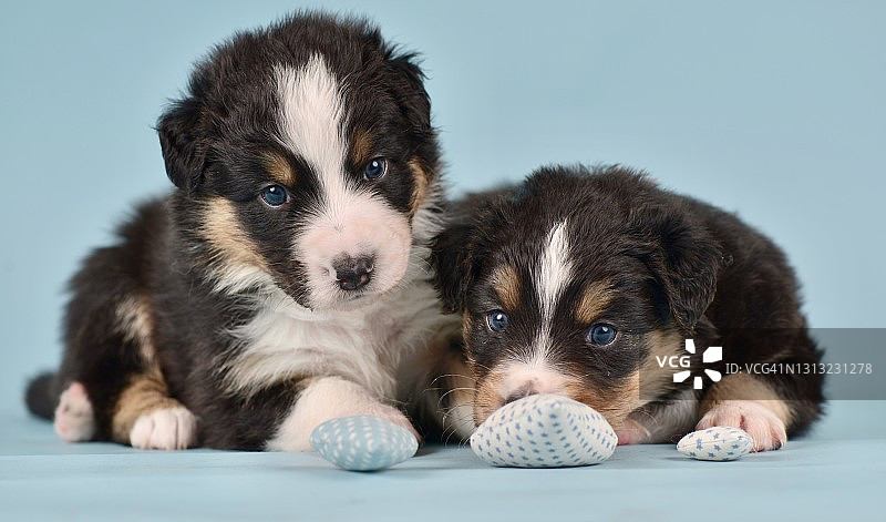 那是什么图片素材