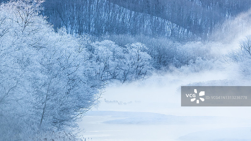 雾蒙蒙早晨的起重机图片素材