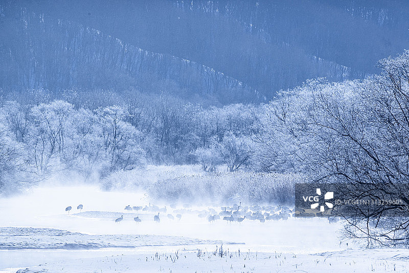 雾中的起重机图片素材