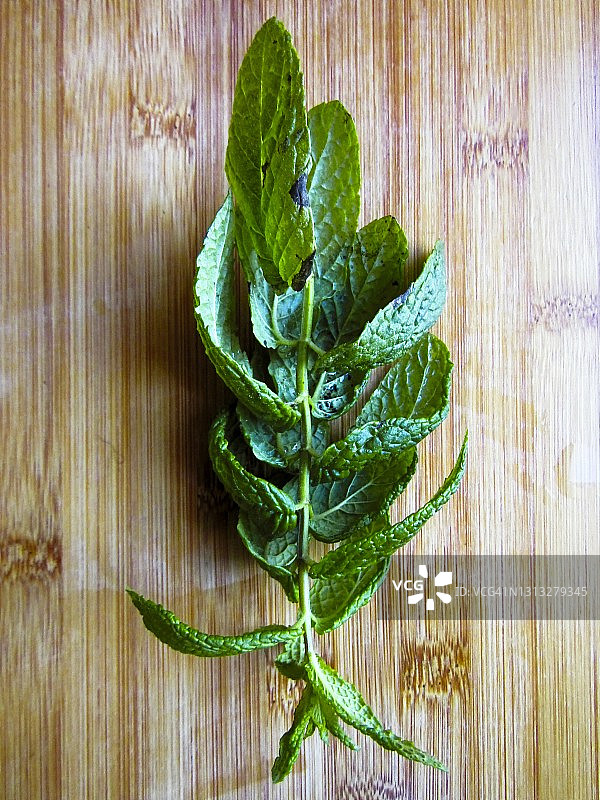 新鲜薄荷，克里特岛，希腊图片素材
