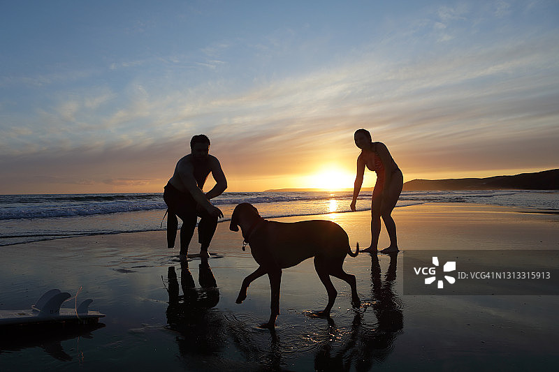 日落时分，在海滩上与狗玩耍的情侣图片素材