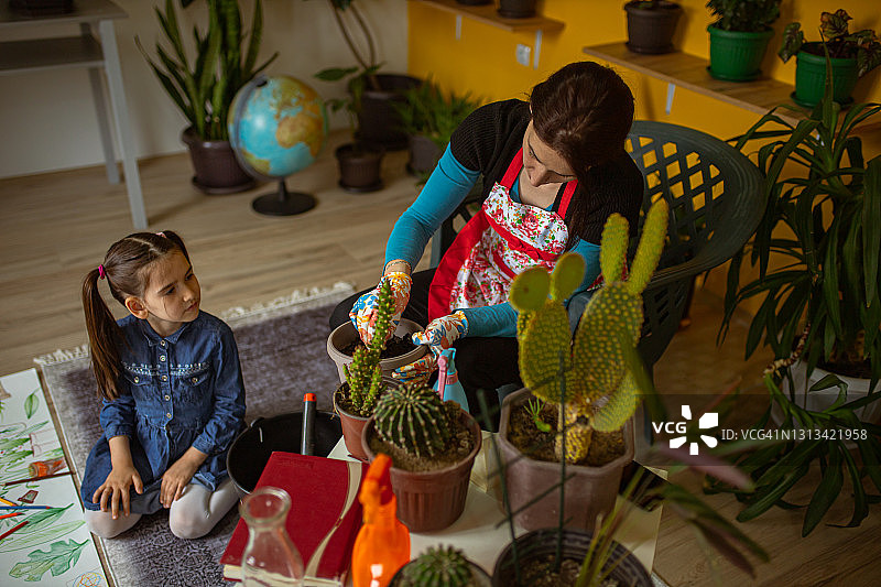 植物家庭合集图片素材