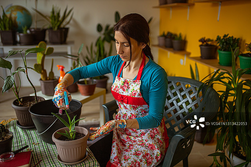 居家种花图片素材