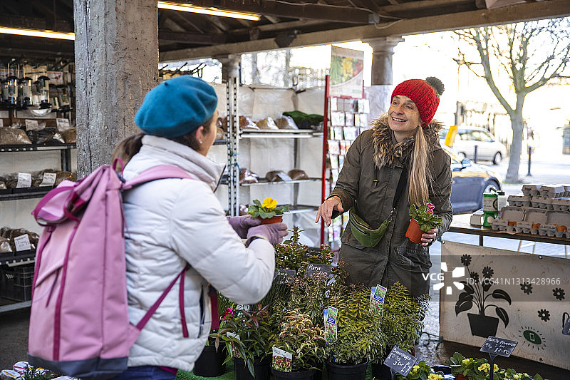 为我的花园购买花卉图片素材