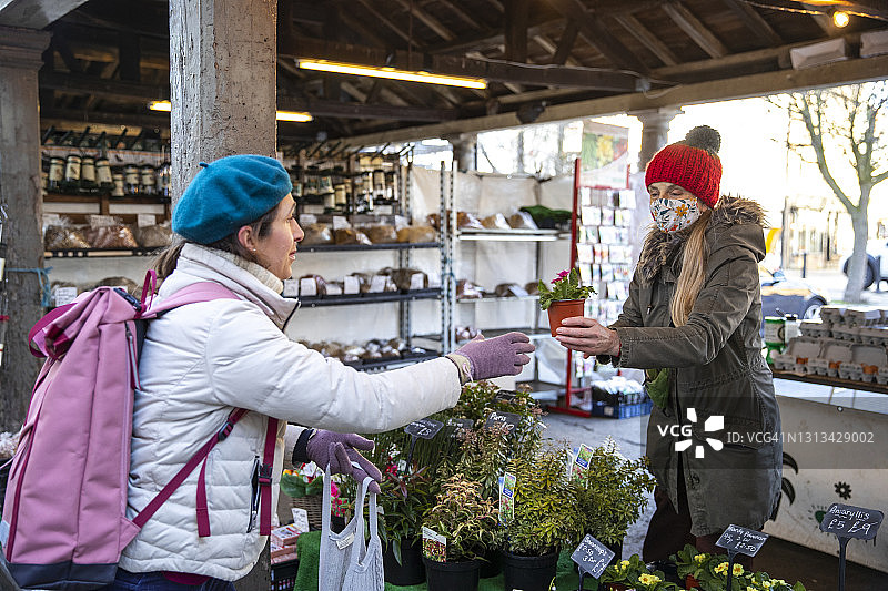 为我的家庭花园购买植物图片素材