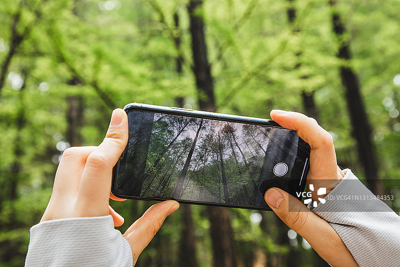 用智能手机拍摄美丽森林风景的个人视角图片素材