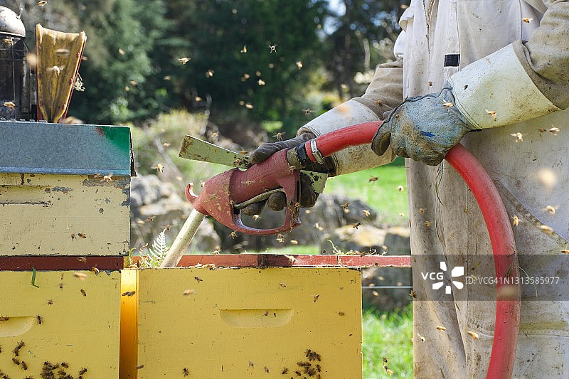 春天，养蜂人喂养蜂箱的特写图片素材