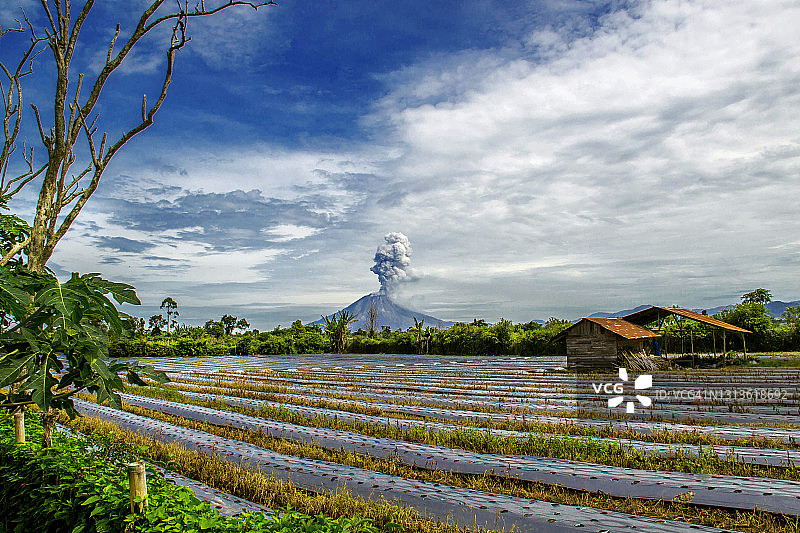 与锡纳朋火山共存图片素材
