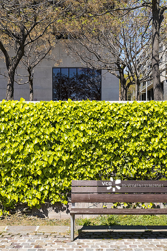 公园里的长椅图片素材