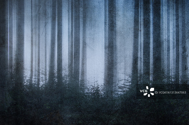 朦胧的雾夜森林抽象编辑图图片素材