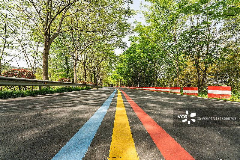 彩色道路和绿树图片素材