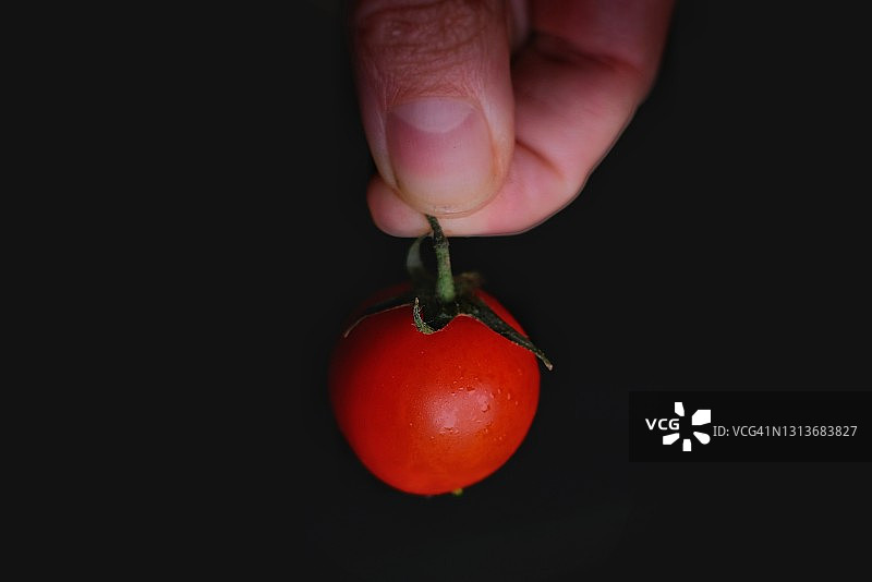 手指间的藤蔓番茄图片素材