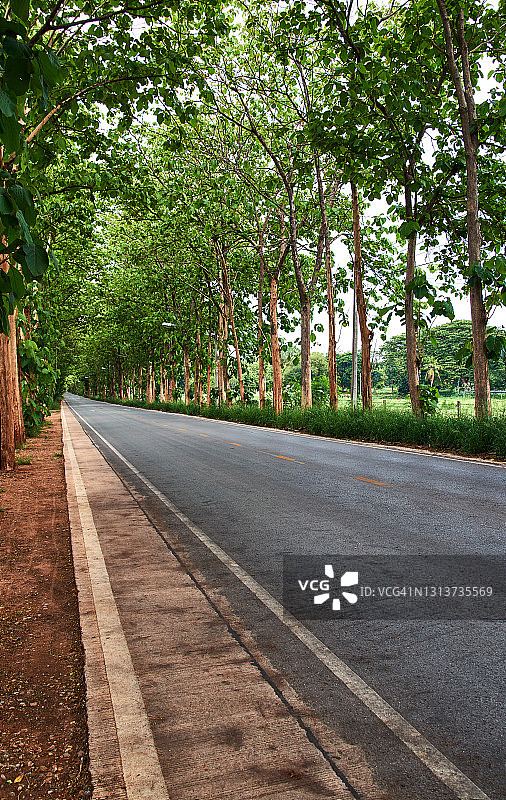 自驾游美丽风光图片素材