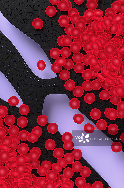 被新型冠状病毒感染的人类肺部模型特写，3D渲染图图片素材