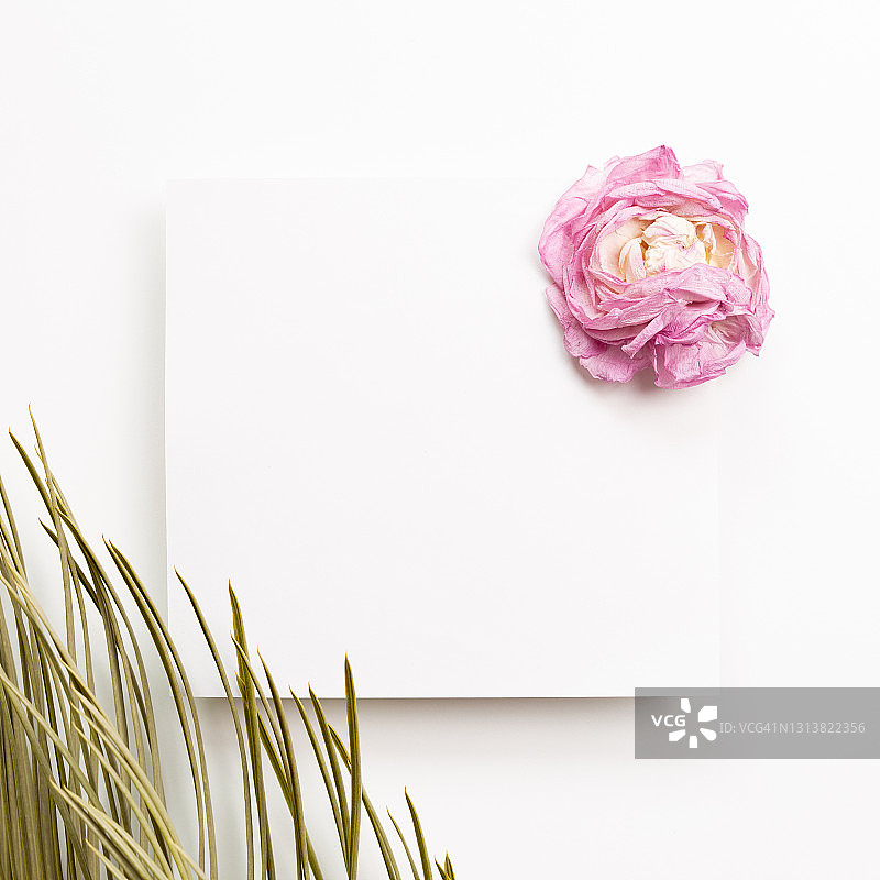 干花和纸张图片素材