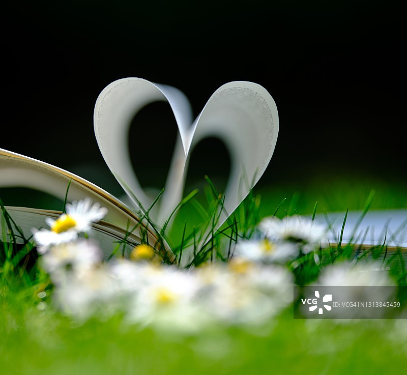 生态之爱图片素材