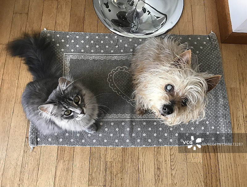 依然是朋友图片素材