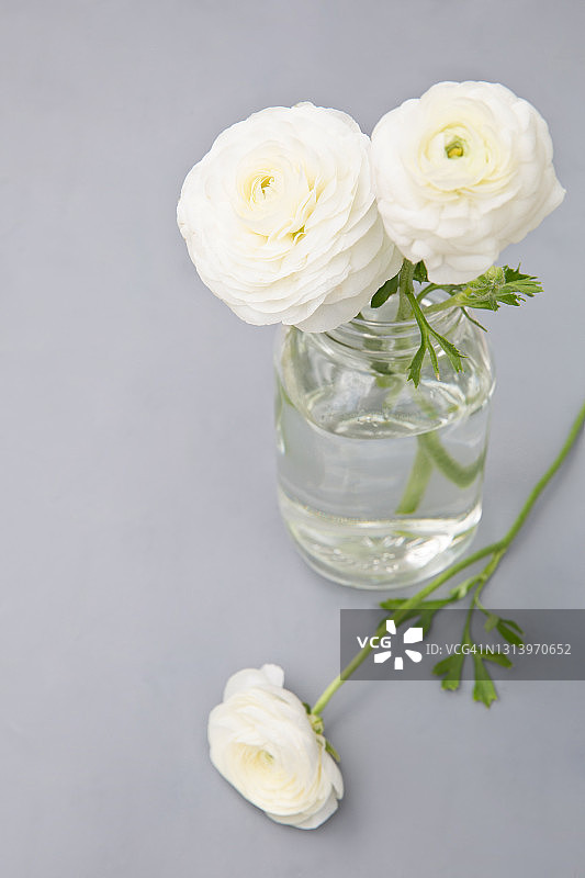 灰色背景毛茛玻璃罐与复制空间图片素材