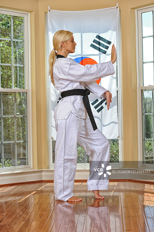 武术传统练习图片素材