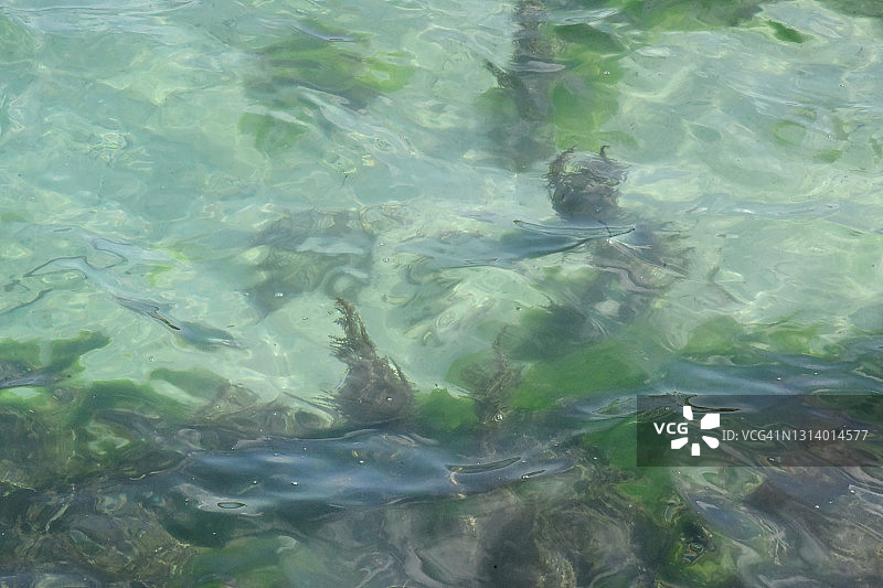 圣艾格尼丝岛透明的阳光照耀下的大西洋海水图片素材