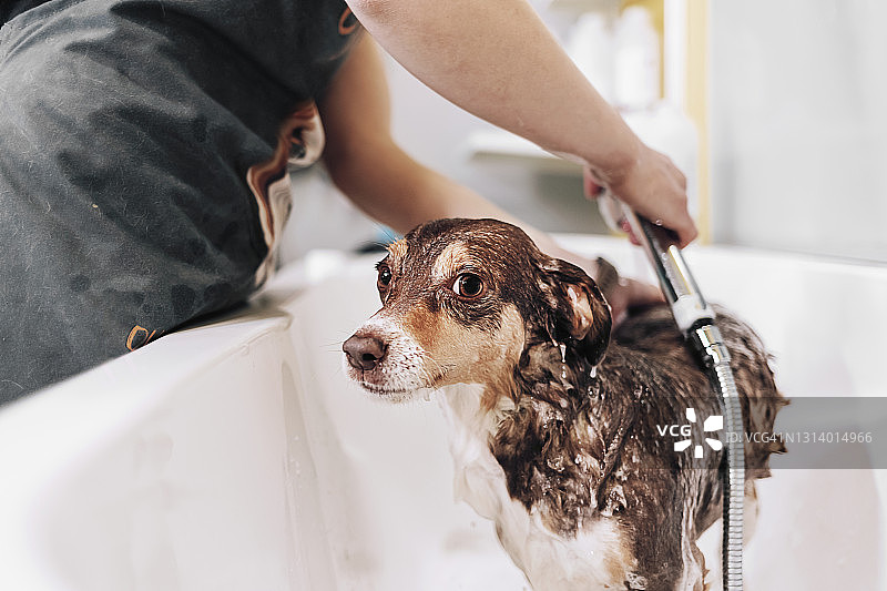 今天我要彻底清洁图片素材