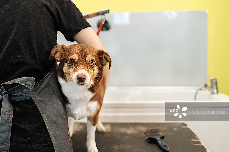 现在我知道人类为什么喜欢做水疗了图片素材