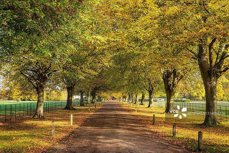 秋季走道 I图片素材