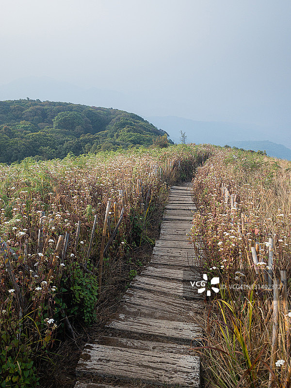 山间栈道图片素材