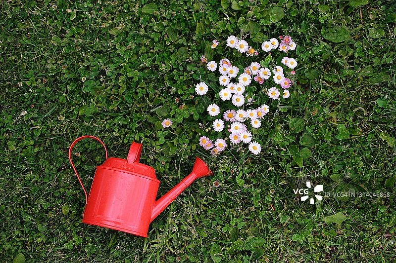 夏季园艺商店素材：红色喷壶与鲜花图片素材