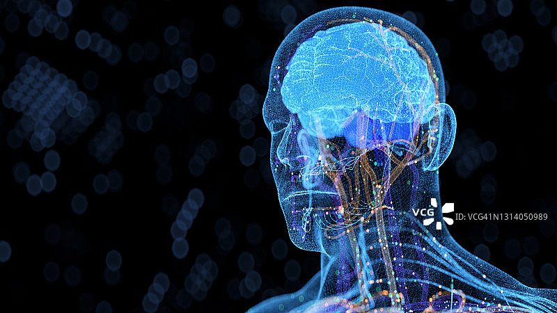 计算机生成的人体器官图片素材