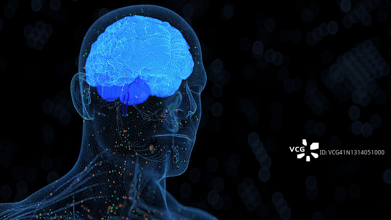 计算机生成的人体器官图片素材