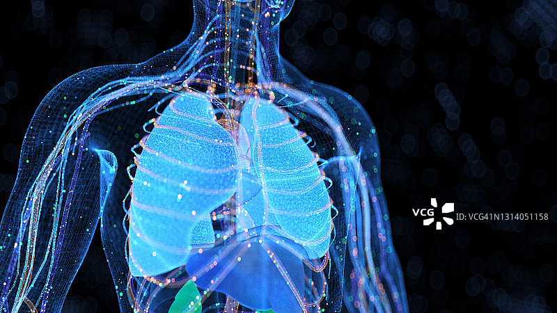 计算机生成的人体器官图片素材