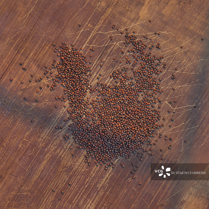 萝卜籽图片素材