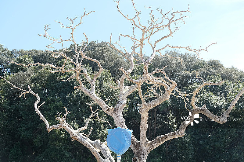 被防水布覆盖的交通标志和光秃秃的树图片素材