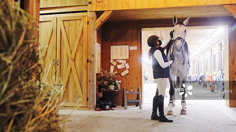 年轻女驯马师在室内马厩调整手套和马具图片素材