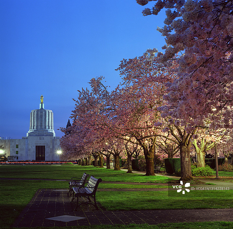 俄勒冈州议会大厦春季花开时的黄昏图片素材