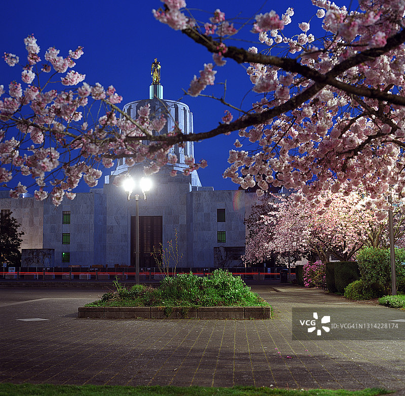 俄勒冈州议会大厦春季花开时的黄昏图片素材