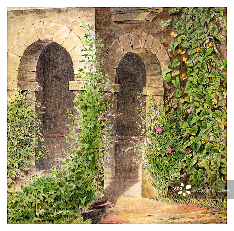 攀缘植物古老彩色石印插图图片素材