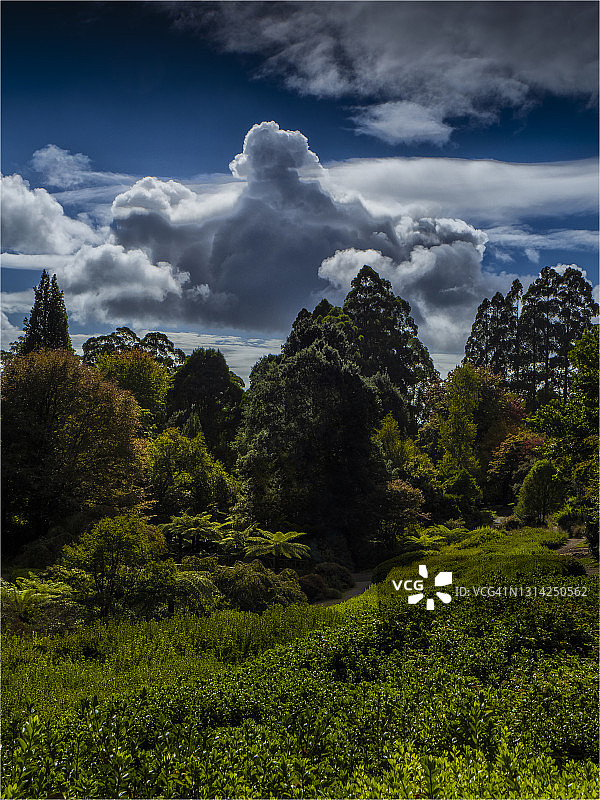 澳大利亚维多利亚州丹德农山植物园的秋季色彩图片素材