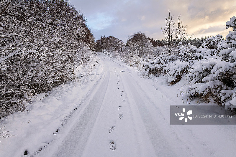 苏格兰高地雪路上的足迹图片素材