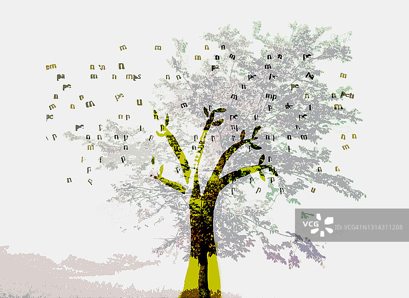 两棵树的图像和字母叠加插图图片素材