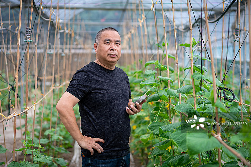 亚洲农民在温室里拿着平板电脑图片素材