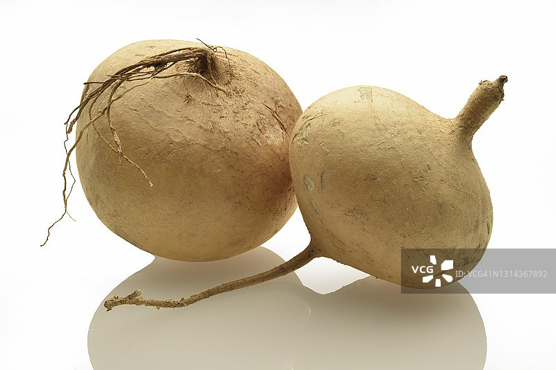 豆薯根图片素材