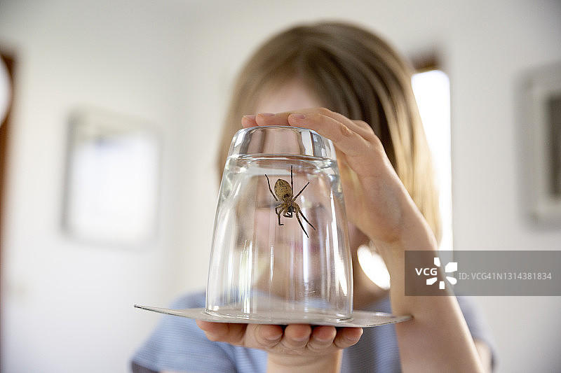 孩子拿着一个装在玻璃杯里的大蜘蛛，在走廊里图片素材