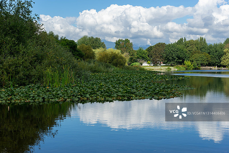 鳟鱼湖图片素材