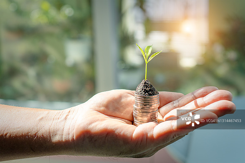 手堆叠硬币，树木闪耀光芒图片素材