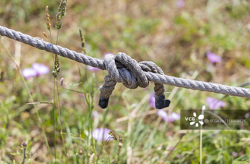绳结图片素材
