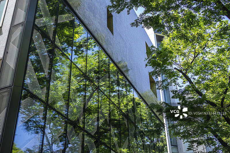 东京涩谷表参道商业建筑上倒映着一棵翠绿的树图片素材