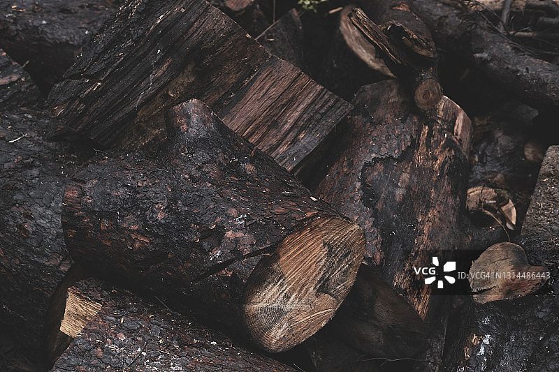 森林 破坏图片素材